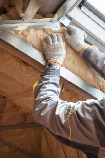 Best Eco-Friendly Insulation in Rohnert Park, CA