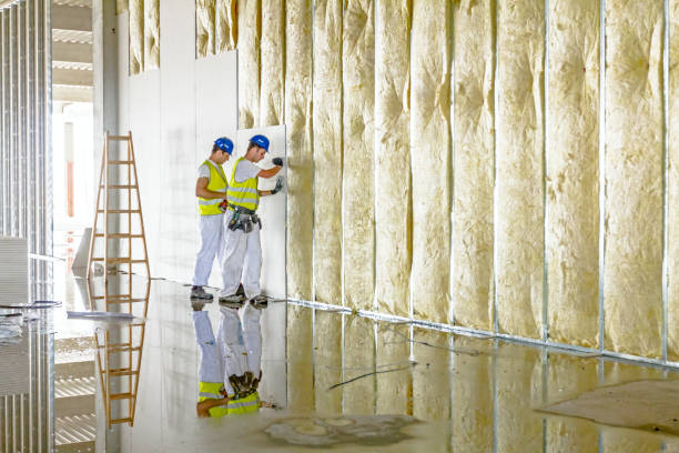 Professional Insulation Contractor in Rohnert Park, CA